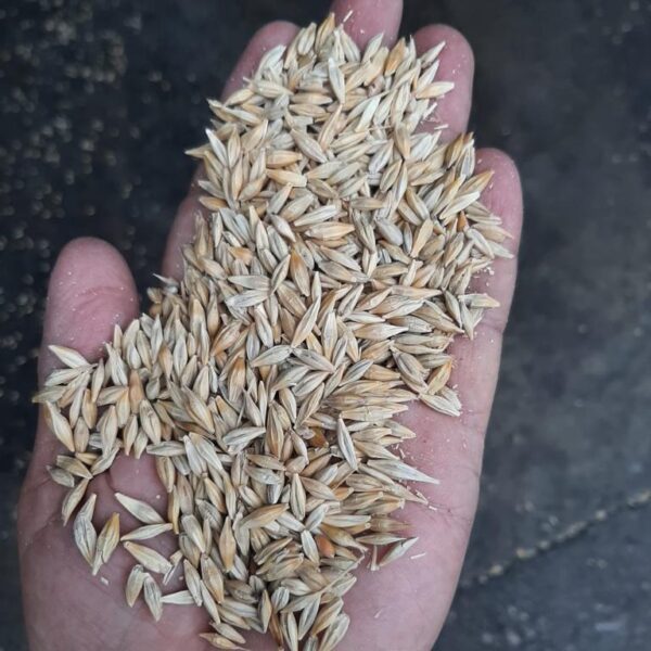 WhatsApp Image 2022-12-08 at 4.25.01 PM